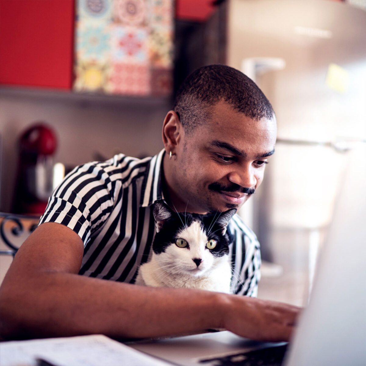 Mann mit Katze auf dem Schoss in Küche am Laptop