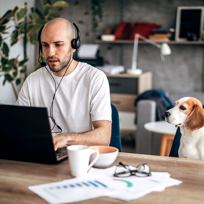 Mann mit Kopfhörern sitzt vor Laptop mit Hund neben sich