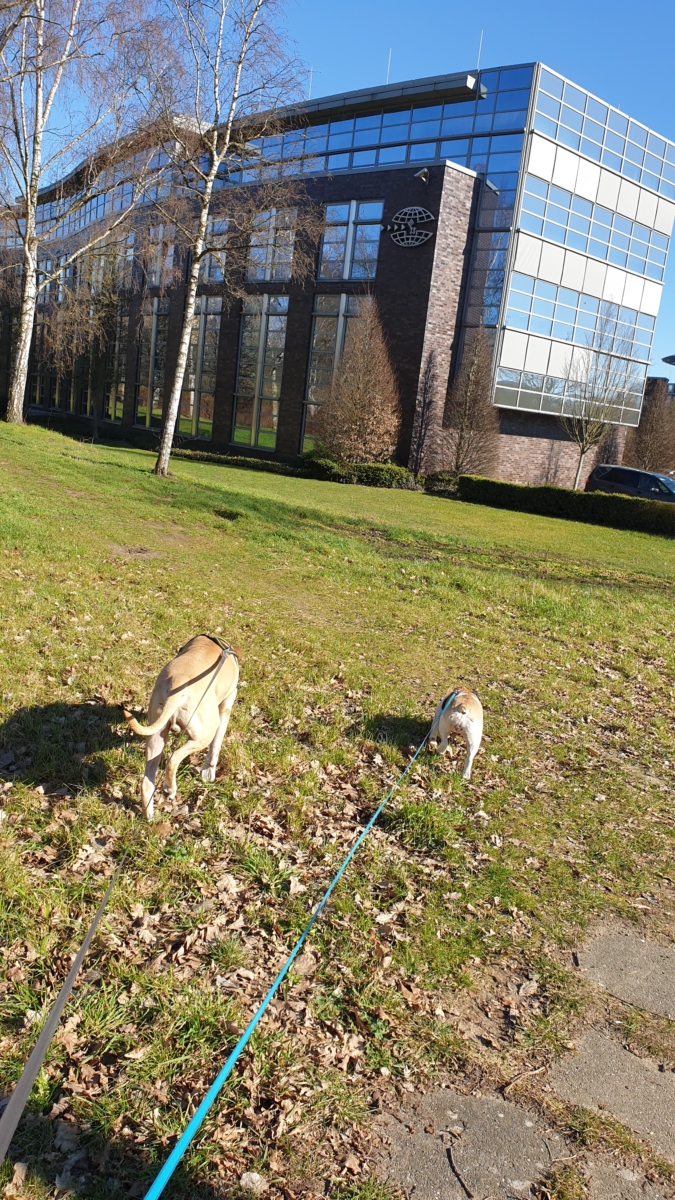 Paula und Bailey